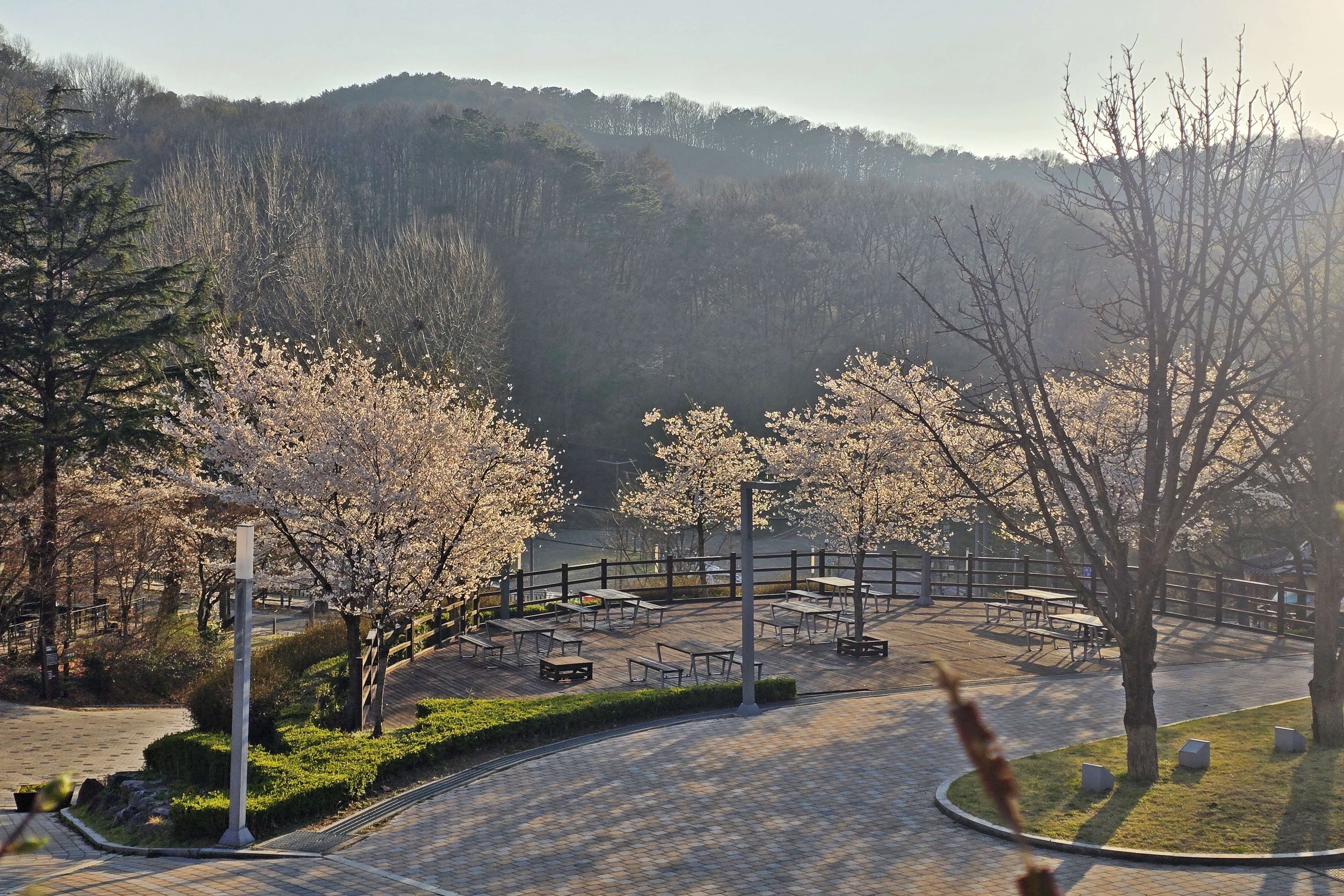 Uploaded Image