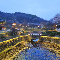 Uploaded Image