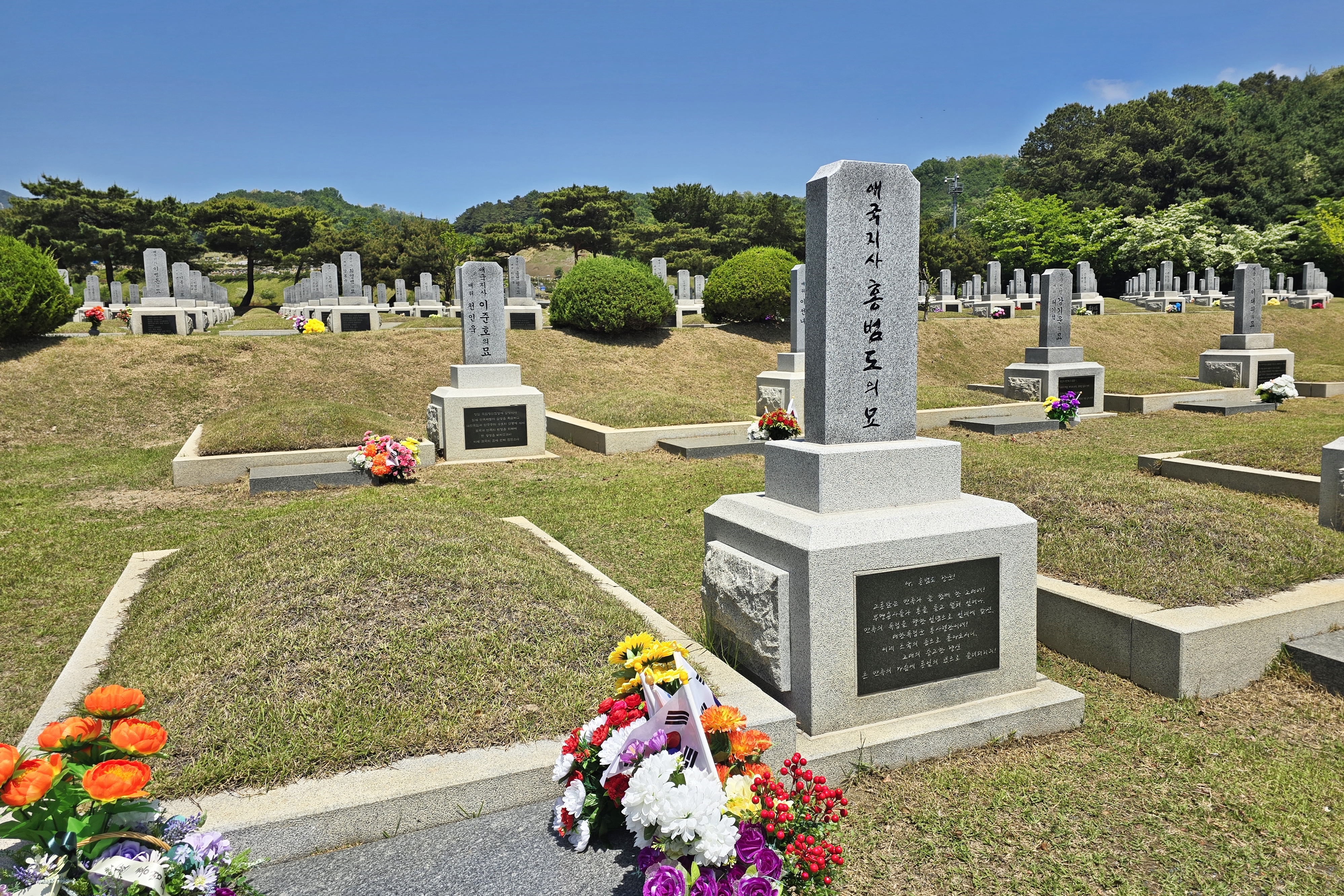 Uploaded Image