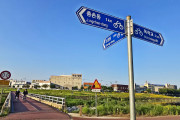 Uploaded Image