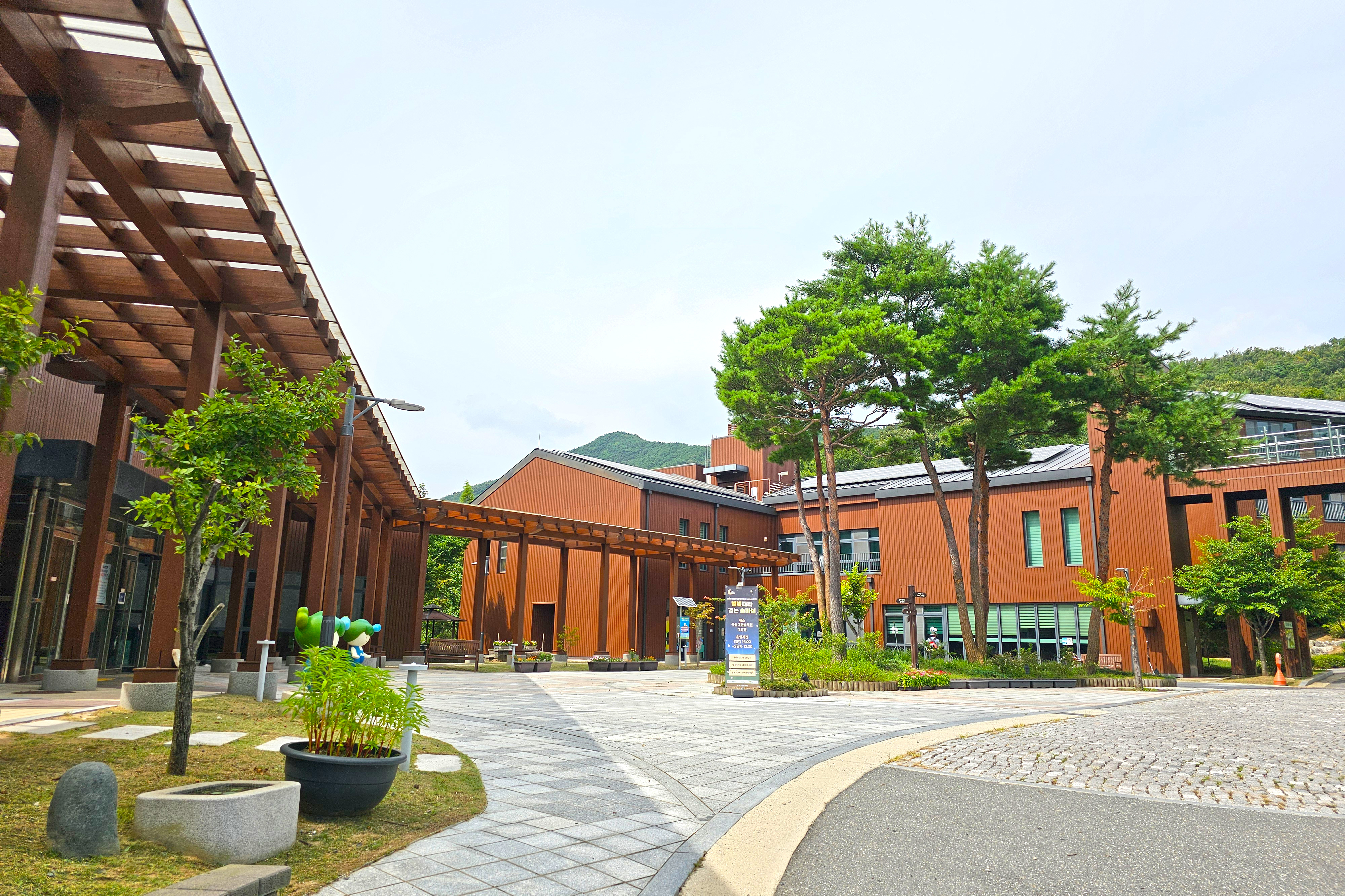 Uploaded Image